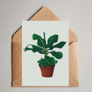 Kaart A6 - Musa Bananenplant