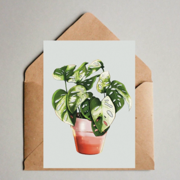 Kaart A6 - Monstera Adansonii Variegata