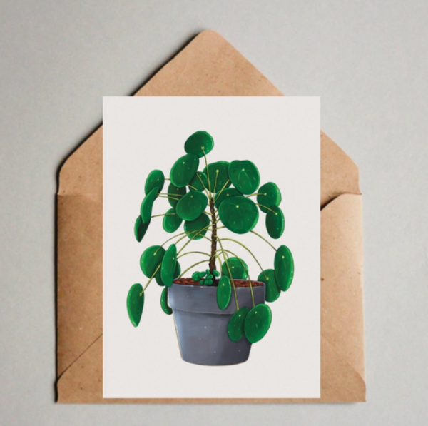 Kaart A6 - Pilea Peperomioides Pannenkoekenplant