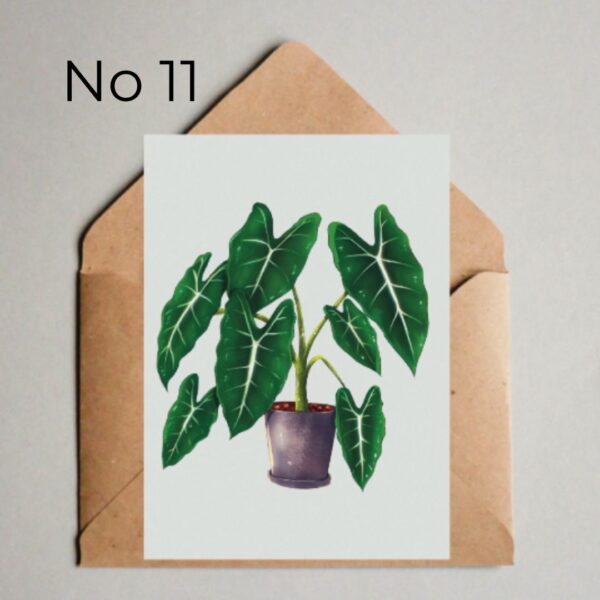 4x kaart Plantlovers - Afbeelding 12