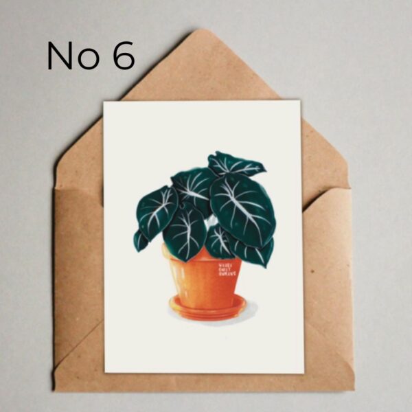 4x kaart Plantlovers - Afbeelding 7