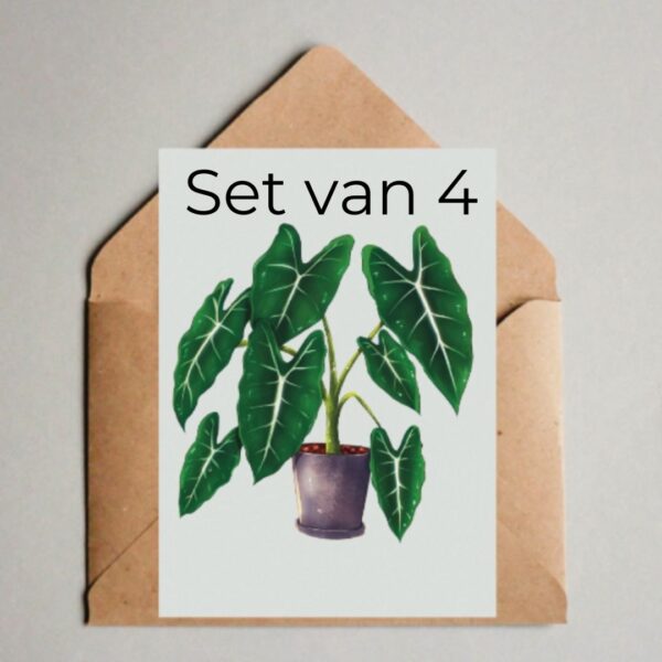 4x kaart Plantlovers